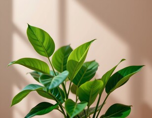 Fototapeta premium Serene Green Leaves Against Soft Pastel