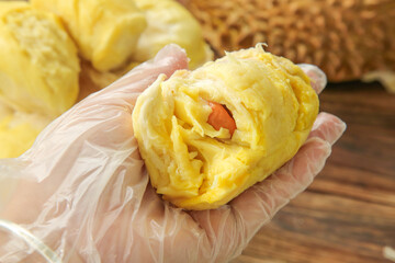 Fresh Golden Durian Fruit from Thailand - Tropical Exotic Fruit with Creamy Flesh in Hands