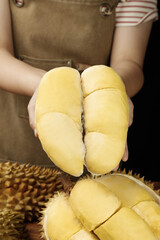 Fresh Golden Durian Fruit Segments in Hands - Thailand's Exotic King of Fruits with Spiky Shell
