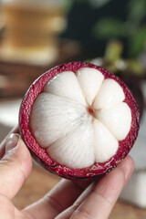 Fresh Mangosteen with Purple Rind from Thailand Showing White Flesh Segments in Hand