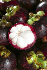 Fresh Mangosteen Fruit from Thailand with White Flesh Segments and Purple Rind