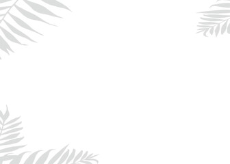 Natural Leaf Shadow Overlay Vector Floral Transparent for Stylish Mockup Applications and Visual Depth