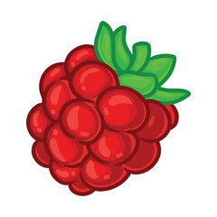 illustration art hand drawn raspberry fruit stickeer design