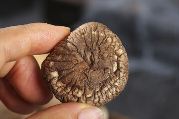 Fresh Shiitake Mushroom Held in Hand Showing Natural Texture and Details