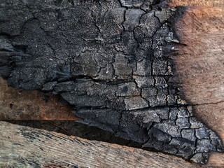 Burnt Wood Texture Close-Up