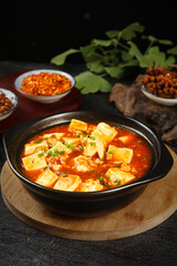Mapo Tofu with Pork - Traditional Chinese Braised Cooking Dish