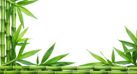 Green Bamboo Frame On Black Background With Copy Space