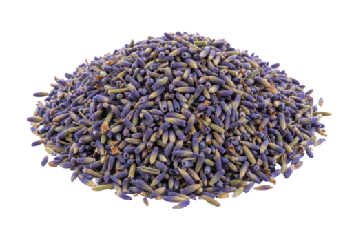 ultra detailed macro shot of an organic mound of dried, vibrant violet english lavender buds, isolated on a seamless high-key white background with copy space, concept of natural health and purity