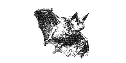 Eerie bat art, perfect for Halloween designs, spooky scenes, or nature-themed graphics, great for vector based designs and art projects, scalable