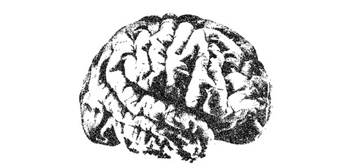 Intriguing brain illustration showcasing intelligence and cognitive function, perfect for science education and medical research materials, originally a vector graphic