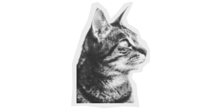 Striking modern halftone design of a cat's head, perfect for edgy branding or a unique pet product advertisement, stylish animal art, cool cat illustration