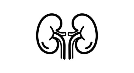 Kidney Icon – Renal Anatomy, Medical Organ & Healthcare Symbol
