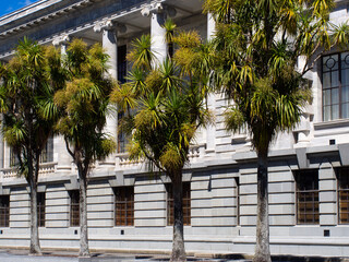 New Zealand Parliament House Wellington with Cabbage trees