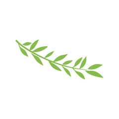 Fototapeta premium Branch with leaves. Nature plant leaf vector illustration