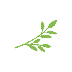 Branch with leaves. Nature plant leaf vector illustration