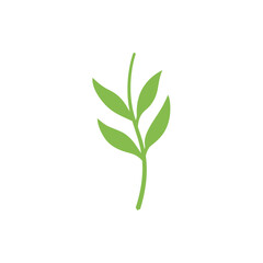 Branch with leaves. Nature plant leaf vector illustration