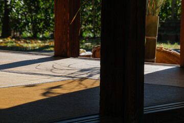 ススキのシルエット