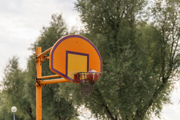 Afternoon on the court sees a basketball resting in the hoop, framed against a backdrop of leafy green trees