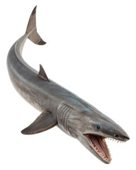 Fototapeta premium Fierce prehistoric shark showing sharp tooth open mouth. An aggressive ancient ocean predator fish isolated against transparent background