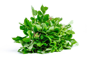 Fresh Green Leafy Vegetables Isolated on White Background