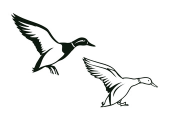 flying duck silhouette, outline flying duck vector design