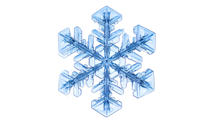 A close-up of a pristine, six-pointed crystalline snowflake against a black background