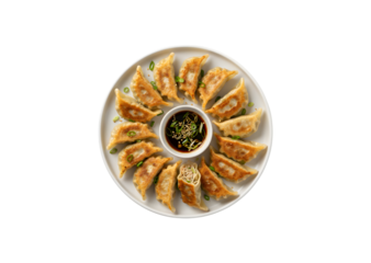 Crispy Japanese Gyoza Dumplings filled with meat and veggies on a plate, set against a white background. Top view.