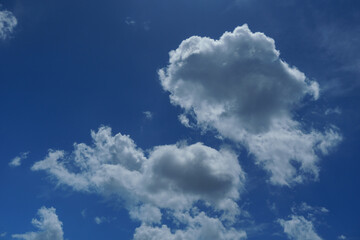 Beautiful sky view nature background with soft clouds and green trees in natural light outdoor landscape