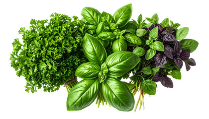 香り豊かな緑のハーブ束｜背景なし・透過PNG・コピースペース