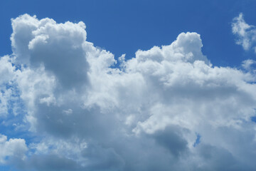 Beautiful sky view nature background with soft clouds and green trees in natural light outdoor landscape