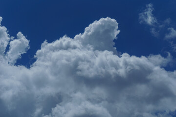 Beautiful sky view nature background with soft clouds and green trees in natural light outdoor landscape