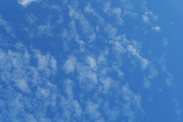 Beautiful sky view nature background with soft clouds and green trees in natural light outdoor landscape