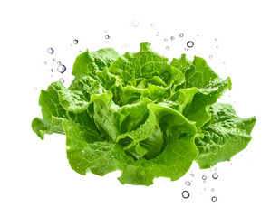 みずみずしいレタスが宙に浮かぶフレッシュなビジュアル｜背景なし・透過PNG・コピースペース