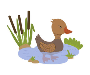 Cute vector illustration of a brown duck floating in a small pond surrounded by reeds and plants. The cartoonish duck adds a playful element, ideal for educational and playful themes.