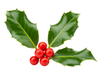 simple  christmas abstract image festive design