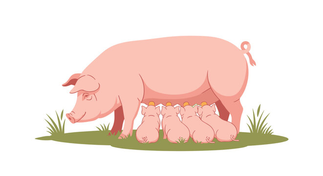 A mother pig nurses her four piglets on a grassy field.