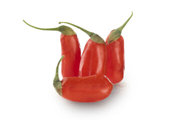 Fresh Red Goji Berries Wolfberries from Ningxia China on White Background