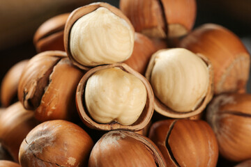 Fresh Hazelnuts with Shells and Kernels - Premium Dried Nuts Hand-Peeled to Show White Meat Inside