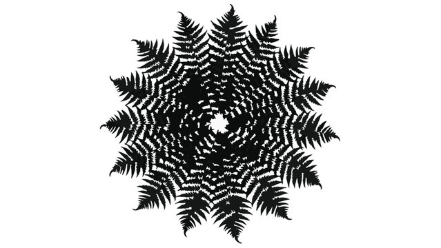 Intricate black fern frond pattern creates a hypnotic mandala design on white background