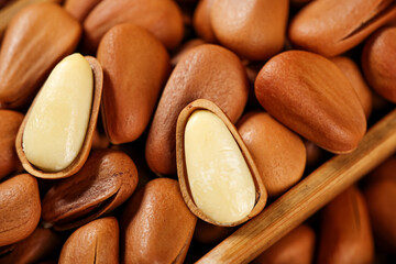 Fresh Pine Nuts Handpeeled in Wooden Bowl - Natural Organic Food Ingredients