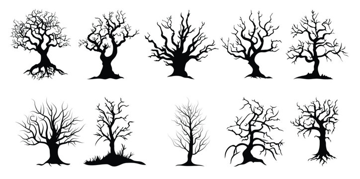 set of dead trees