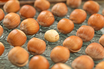 Hand-Peeled Dried Hazelnuts on Textured Surface - Large Collection of Northeastern Nuts