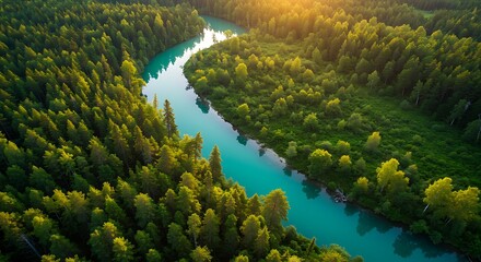 Aerial view of a winding turquoise river through a dense, sun-drenched forest