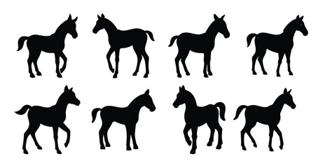  Foal Horse Silhouette Set - Baby Horse Vector Illustrations