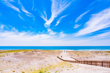 中田島砂丘 は 遠州灘海岸 にある 日本三大砂丘 の 砂丘 【 静岡県 浜松市 の 自然 風景 】