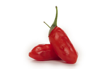 Fresh Red Goji Berries Wolfberries from Ningxia China Traditional Superfood Fruit
