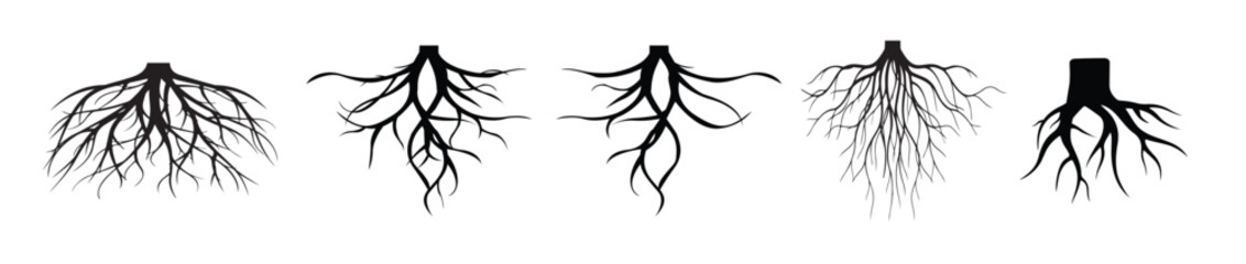 set of tree roots vector silhouette © Hooj