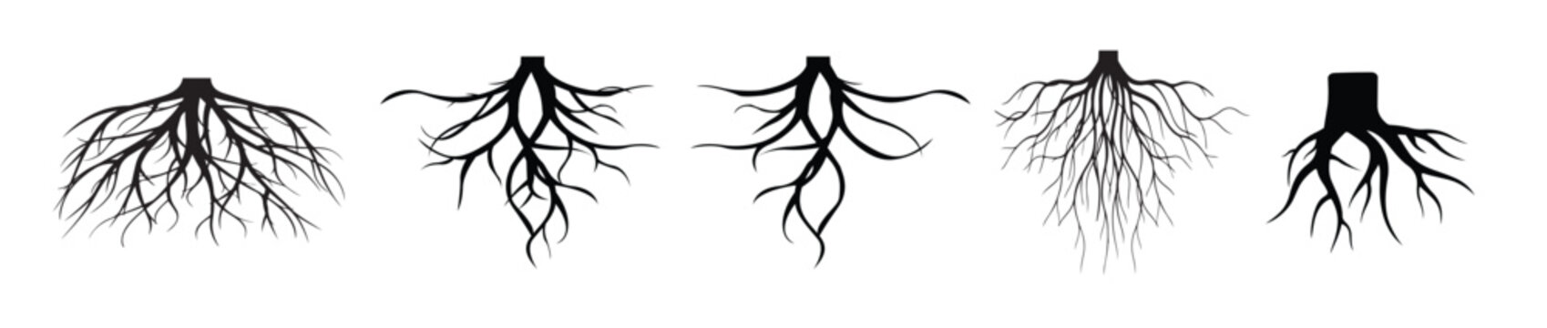 set of tree roots vector silhouette