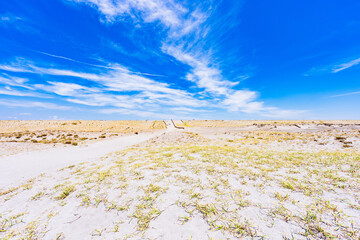 中田島砂丘 は 遠州灘海岸 にある 日本三大砂丘 の 砂丘 【 静岡県 浜松市 の 自然 風景 】
