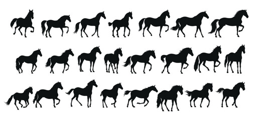 Fototapeta premium set of silhouettes of horse. horses standing. isolated on transparent background. 